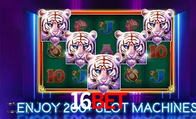 16bet Certificado eCOGRA